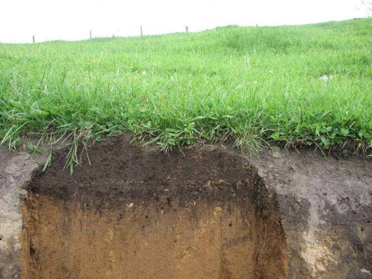 53 Worth Road Putaruru_22