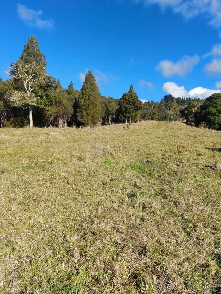 Lot 2/2084 Waiare Road Kaeo_25