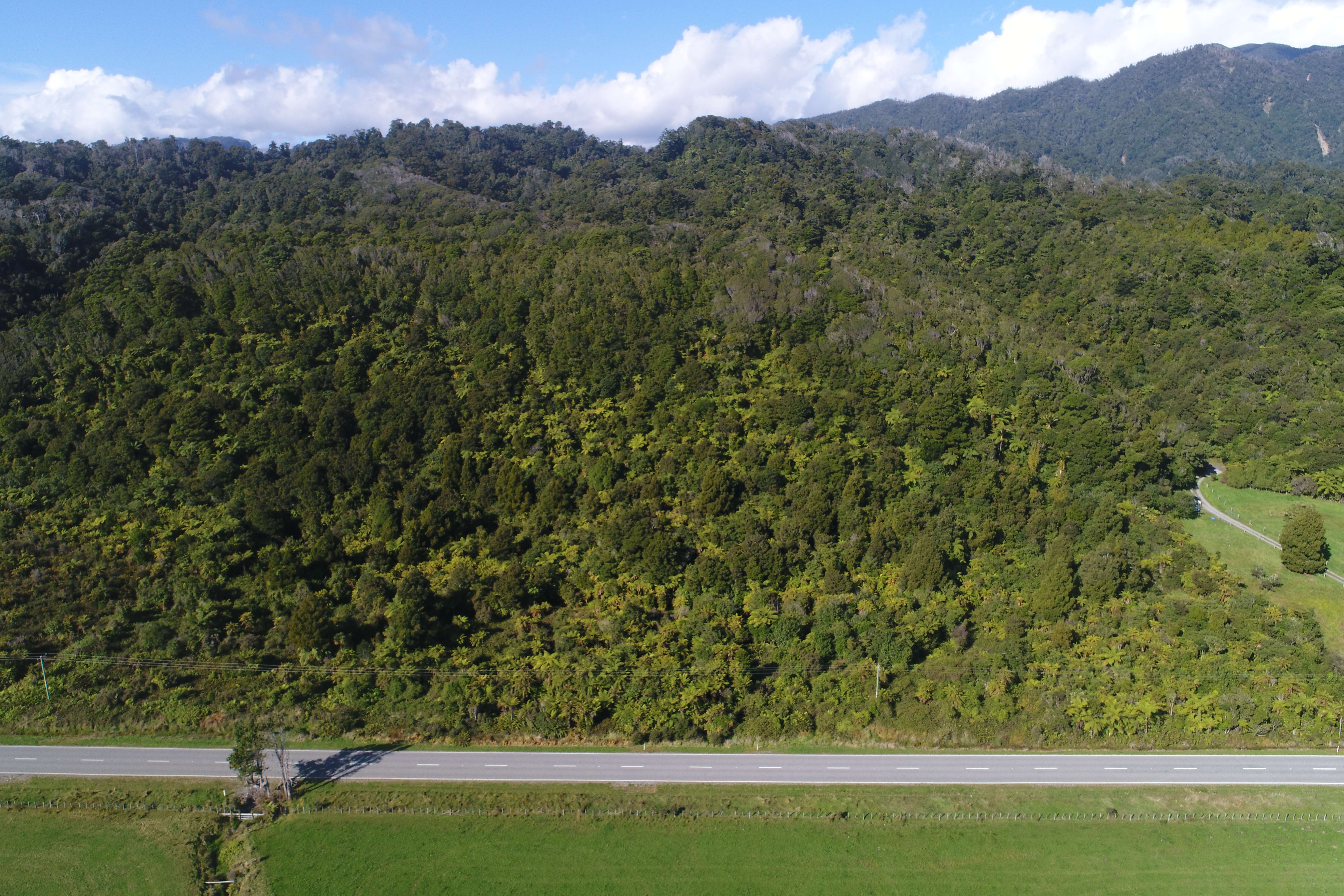 3495 State Highway 6 Barrytown Greymouth Rural Property For Sale