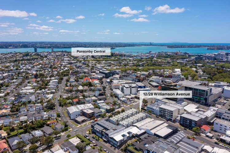 12/28 Williamson Avenue Grey Lynn_6