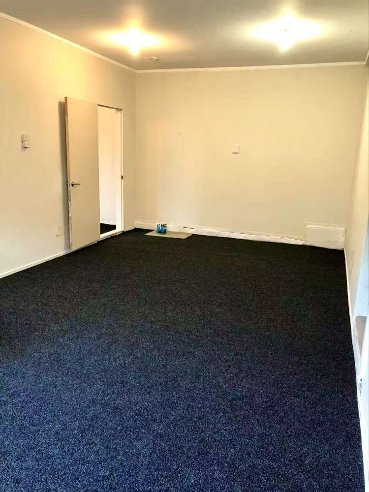 148 Astley Avenue New Lynn_16