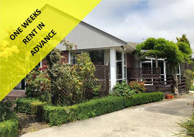 5 Montague Street Islington_1