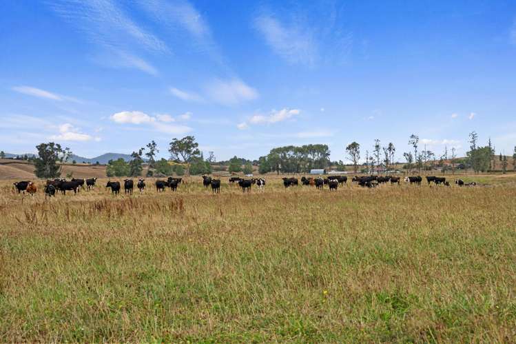 55 Hartstone Road Te Kowhai_28