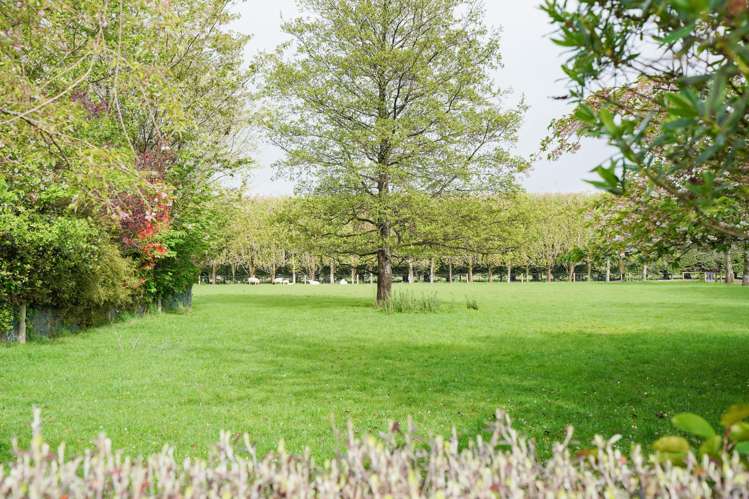 468 Lorne Dacre Road Roslyn Bush_45