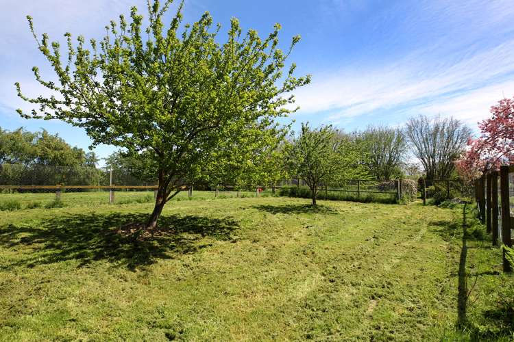 87 York Road Longlands_20