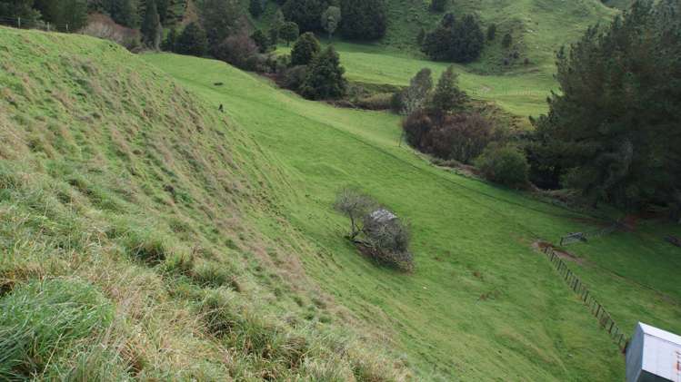 4501 State Highway 4 Waimiha-Ongarue_23