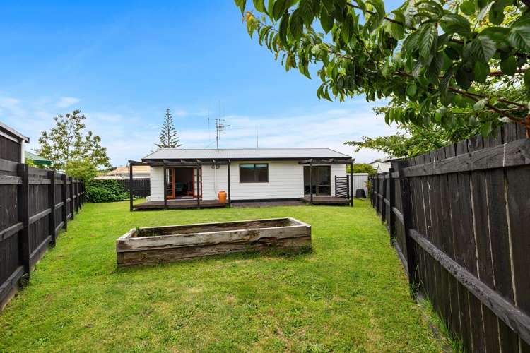 19B Doncaster Drive Papamoa_12