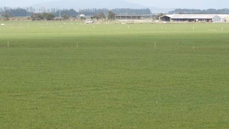 45 Tiwai Road Woodend_10