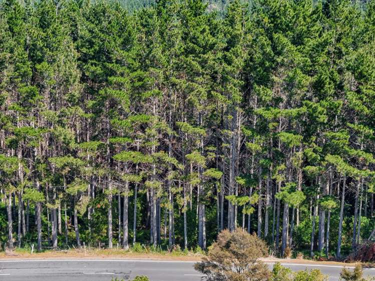 2458 Paparoa-Oakleigh Road Maungaturoto_6