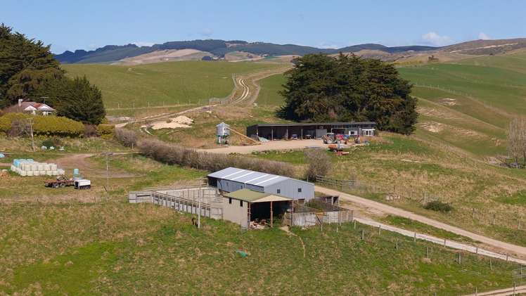 137 McLeods Road Palmerston_12