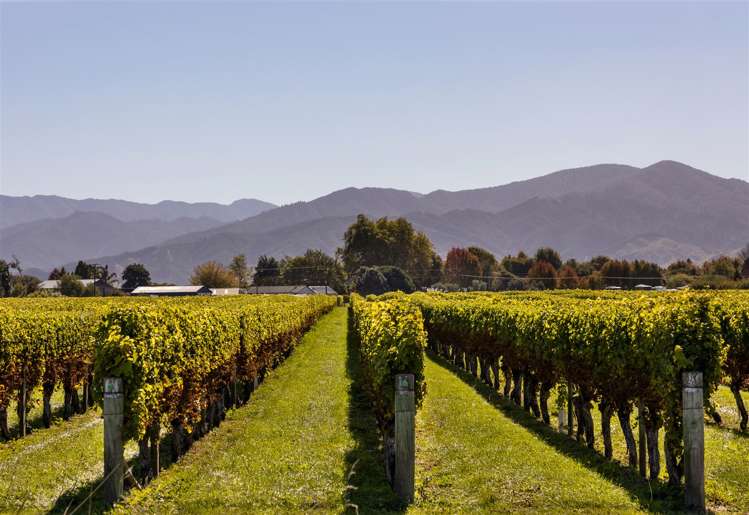 36 Whareatea Road Redwoodtown_8