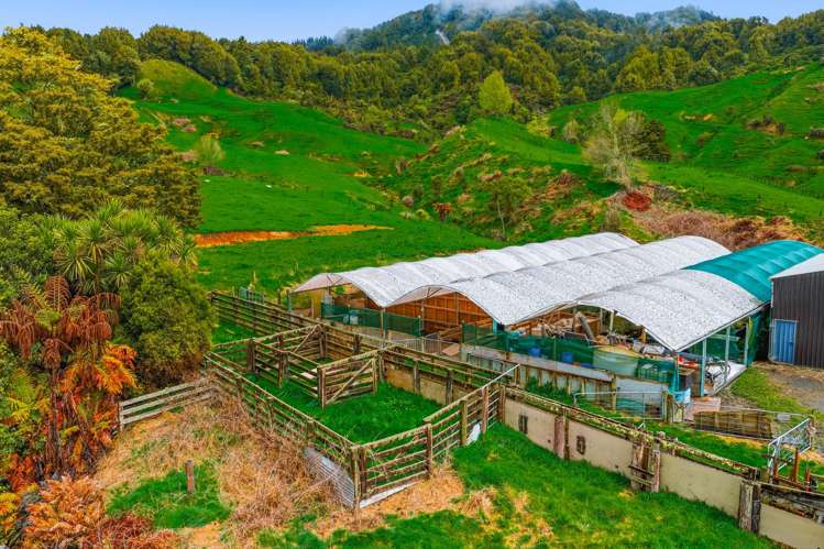3434 State Highway 4 Aria_22