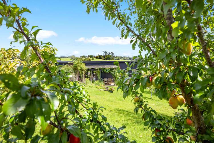 89a Blue Gum Drive Warkworth_21