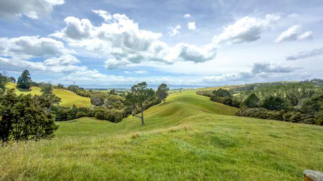 551 Kaiaua Road Kaiaua_1