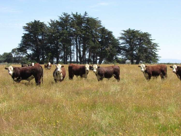 30 Wallacetown Lorneville Highway_0