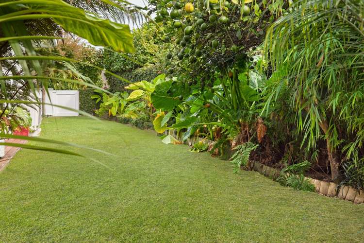 3 Heron Avenue Matua_3