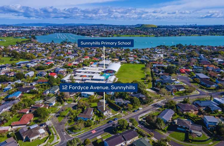 12 Fordyce Avenue Sunnyhills_27