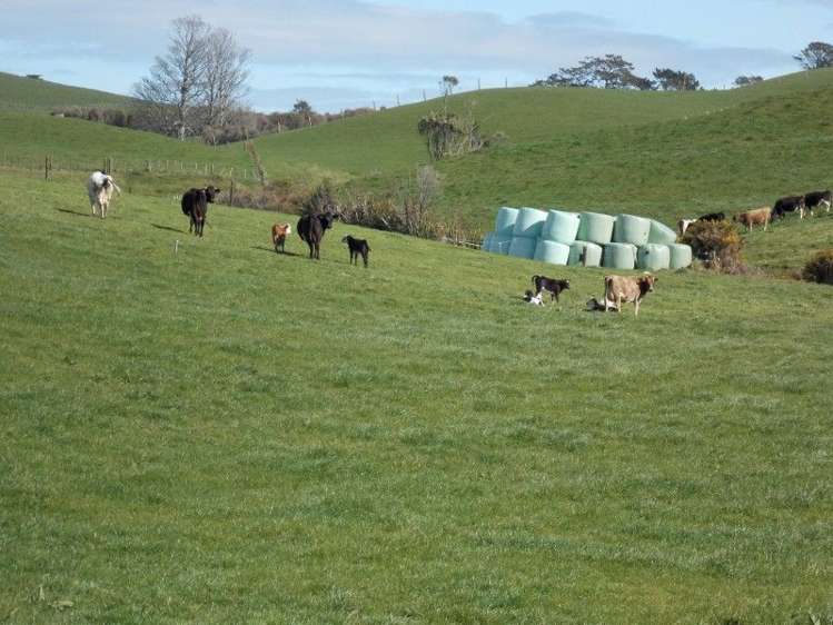 222 Lincoln Road Inglewood_8