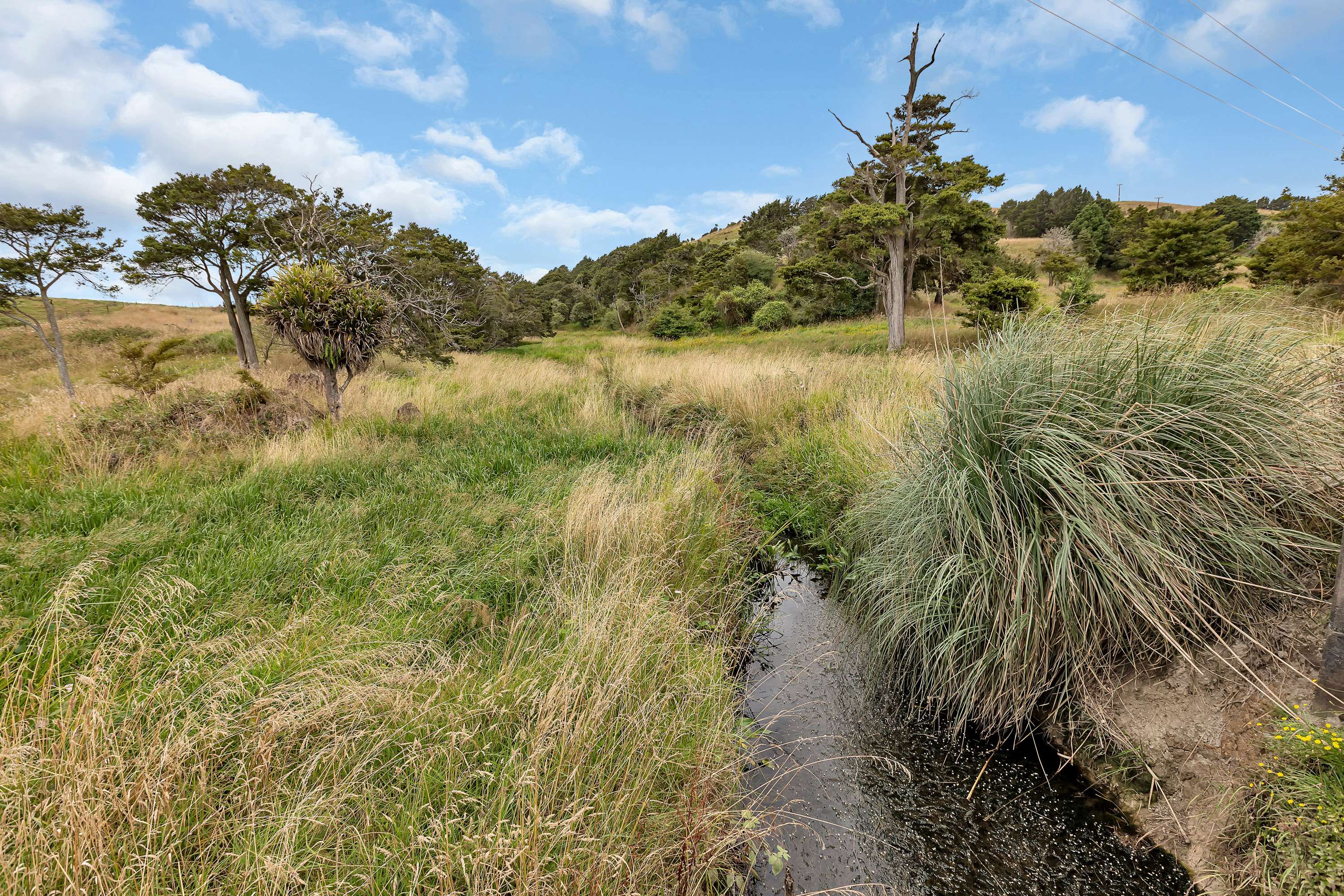 1754 Ararua Road Matakohe Kaipara Rural Property For Sale One Roof