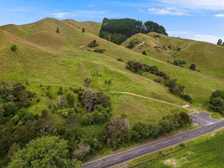 10 Te Miro Road Te Miro_10