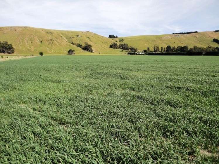 160 Millers Road Gebbies Valley_0