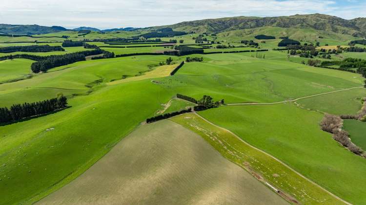 1443 Omihi Road Omihi_26