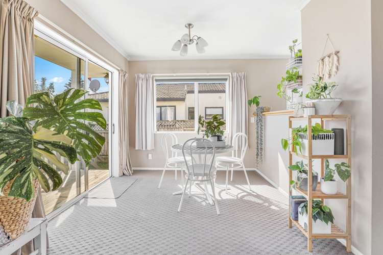 151A Edgecumbe Road_0