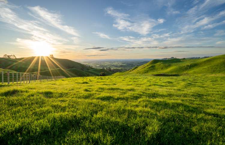 699 Maungakawa Road Te Miro_0