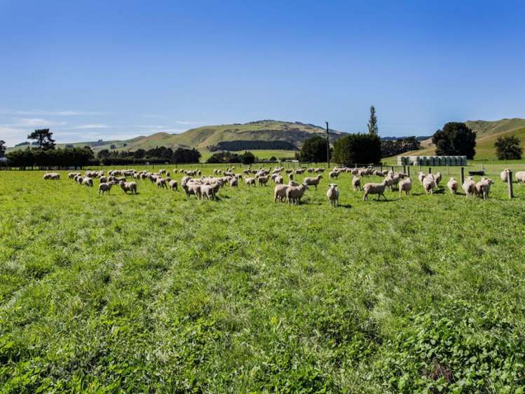 202 Stockgrove Road Amberley_2