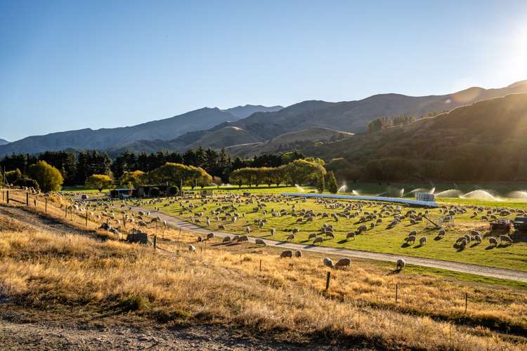 446 Cardrona Valley Road Wanaka_10