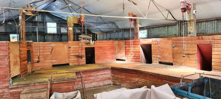 41 Otaria Road Gore Surrounds_5