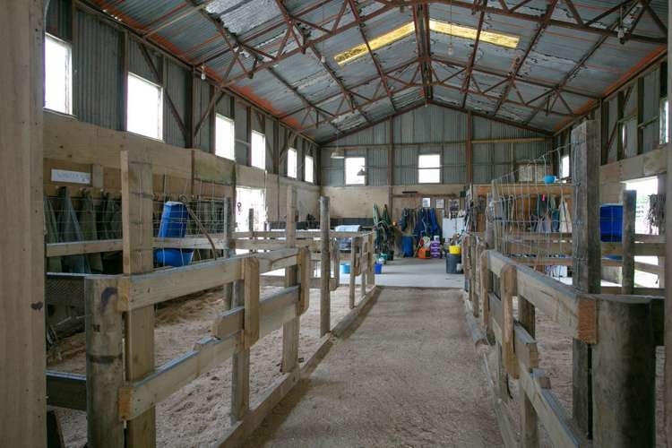 2/295 Roberts Road Cambridge_9