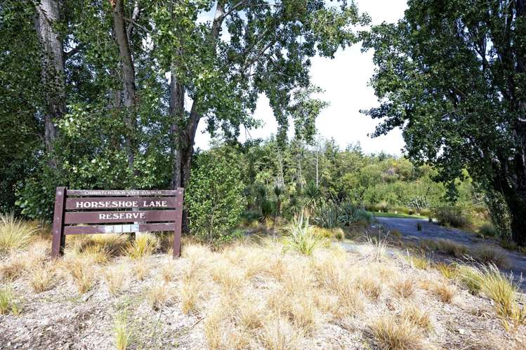 232 Lake Terrace Road Shirley_21