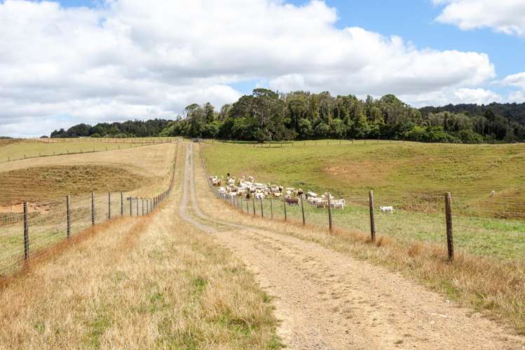 640 Brunskill Road Te Miro_21