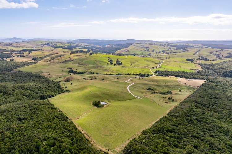 24 Foster Road Dargaville_28