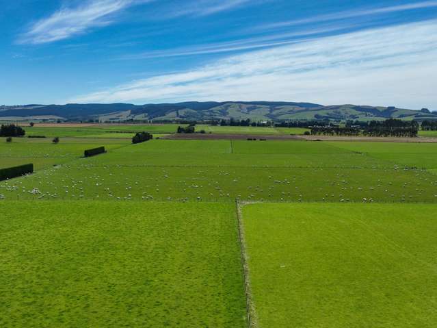 372 Looney Road South Hillend_4