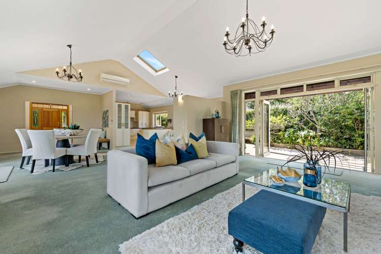 17 Frederick Street Hillsborough_5