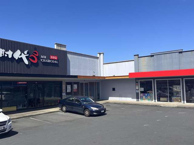 184 Dominion Road Mount Eden_3