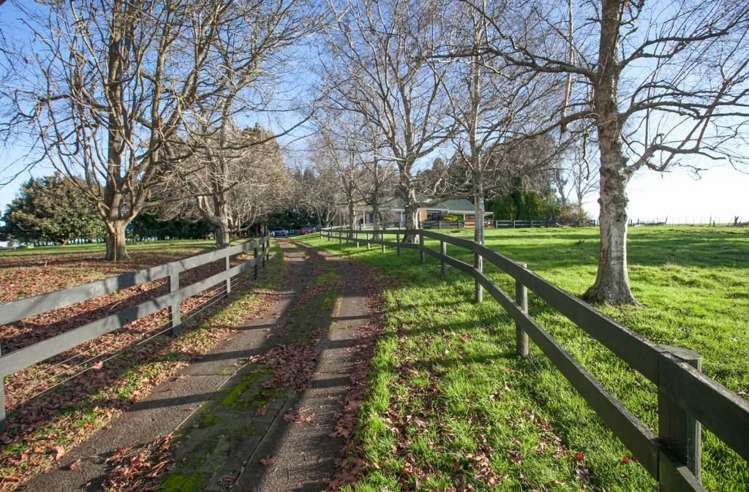 10 Fairview Street Tirau_5