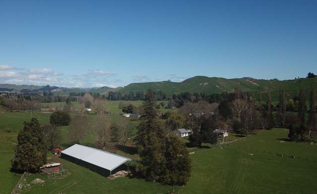 1499 Moawhango Valley Road Rangitikei Surrounds_4