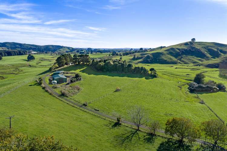 143 Pond Road Raglan_8