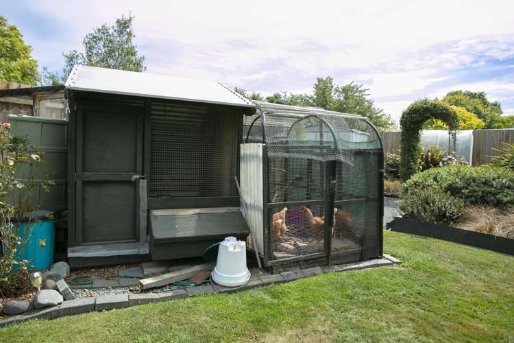 54 Gray Street Hinds_19