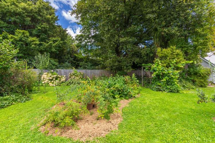 129 Main Street Greytown_15