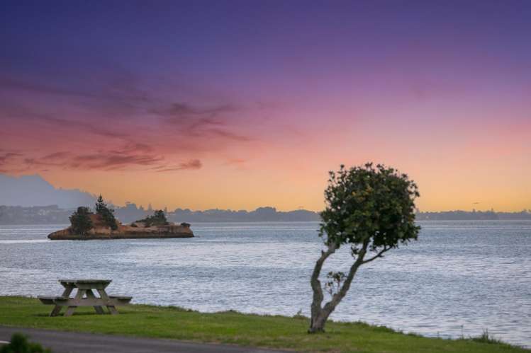 26 Esplanade Road Tahawai_17