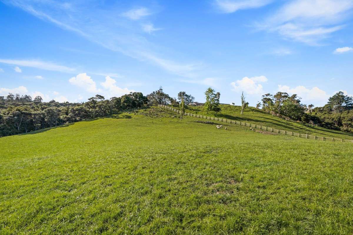 161 Waikoukou Valley Road_4