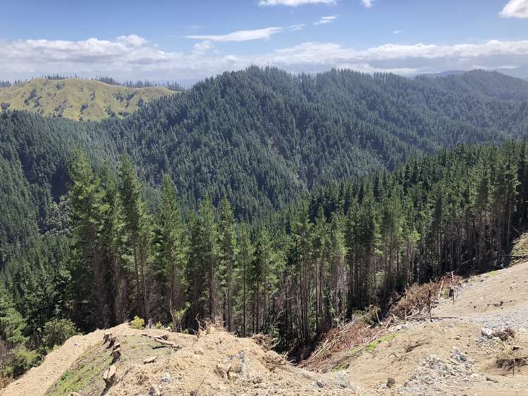 Duncan Road Waimata_6