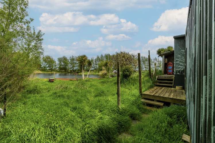 293 Beamish Road Bulls_21