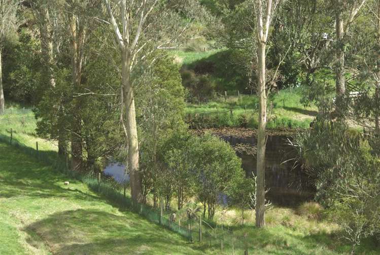 111 Otutira Drive Marotiri_9