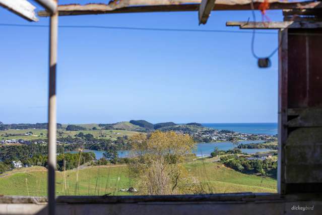 154 Hills Road Raglan_3