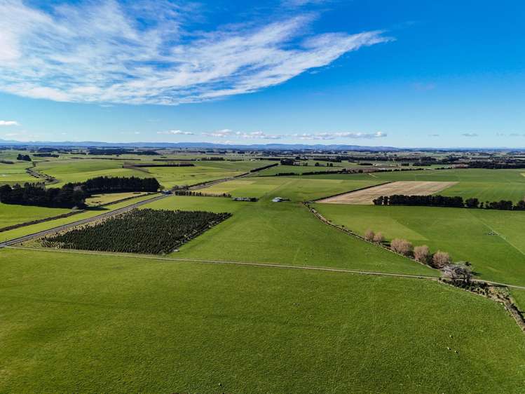 495- Thornbury Waimatuku Road Thornbury_6